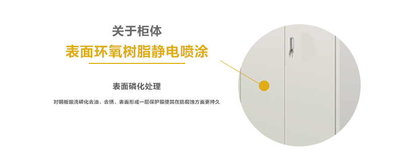 氣瓶柜技術(shù)參數(shù)與產(chǎn)品細節(jié)(圖1)